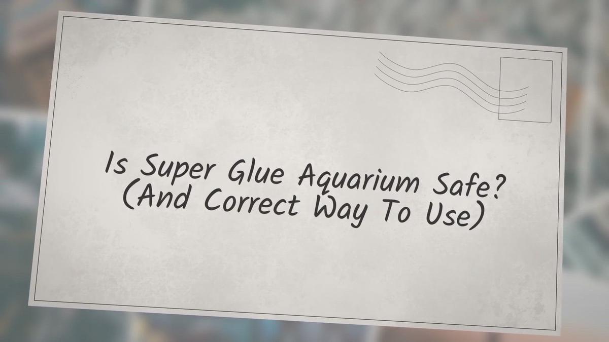 'Video thumbnail for Is Super Glue Aquarium Safe? (And Correct Way To Use)'