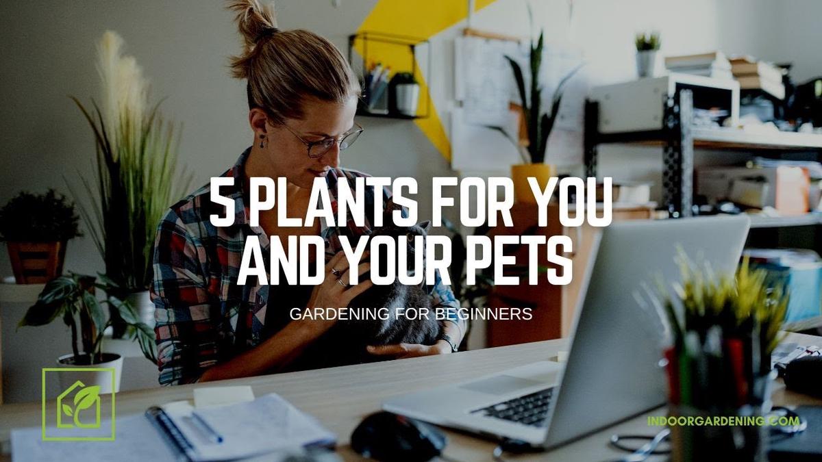 'Video thumbnail for 5 Pet Safe Plants For Your Home'
