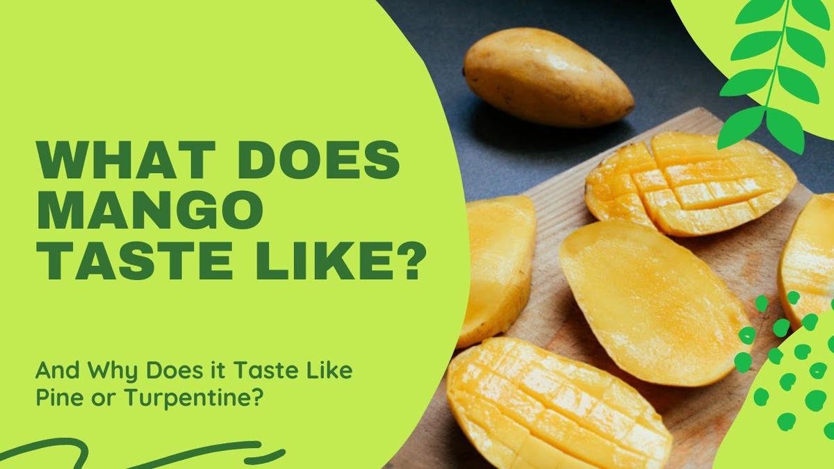 'Video thumbnail for What Does Mango Taste Like? How Does a Mango Taste Like Pine (Tree) or Turpentine and Why?'