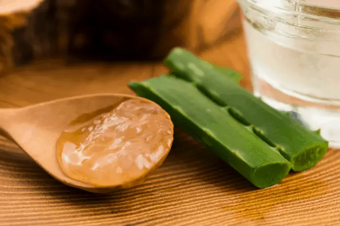 Aloe Vera Unique Benefits & Uses: Skin, Hair and More