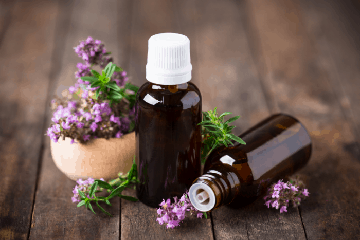 What are the Best Essential Oils to Keep Flies Away