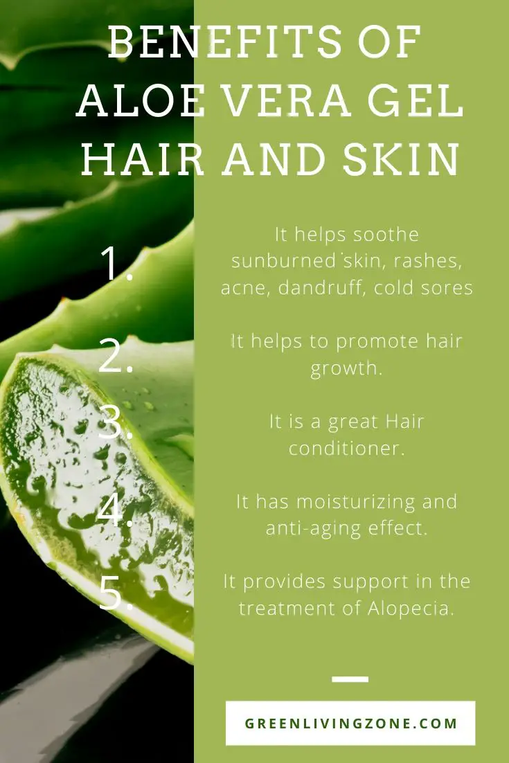 Bnefits of Aloe Vera gel in hair and akin-Green Living Zone