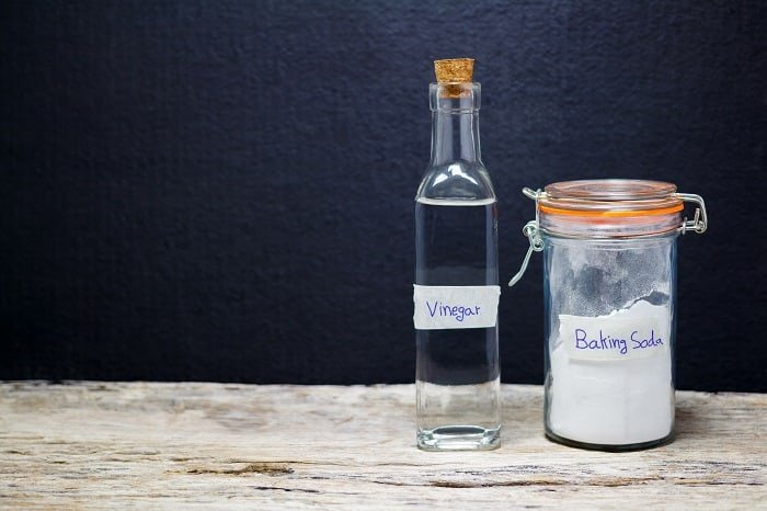 ow to Make Homemade Mosquito Trap Vinegar