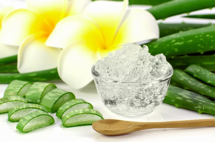 Fruit of The Earth Aloe Vera Gel Review 2019 – A Sensational Gel with Various Health Benefits