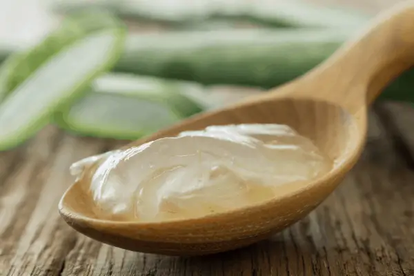 How Much Aloe Vera Gel to Drink Daily