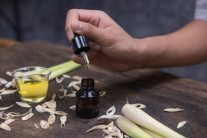 What Essential Oils Are Good for Bug Bites?