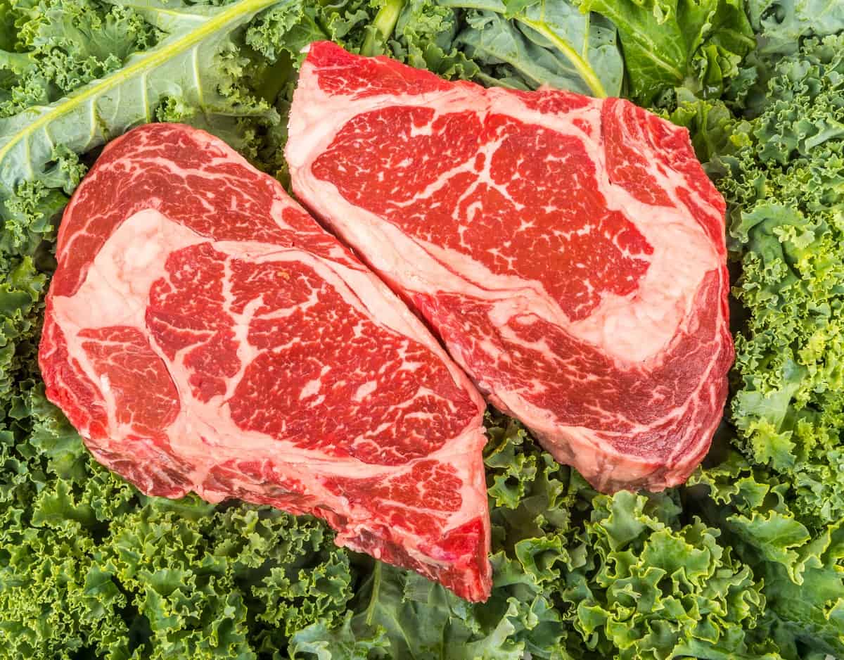 Let us Compare the Protein in Kale and Beef