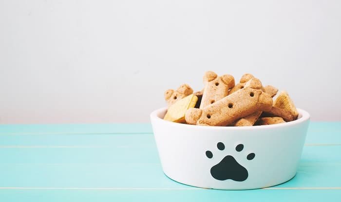 Amazing Dog Treat Recipes Without Flour