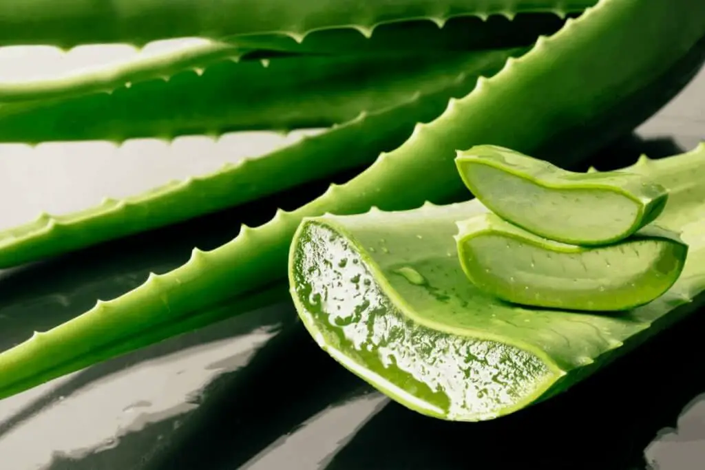 aloe vera gel health benefits