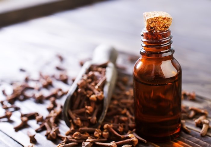 Essential Oils for Dry Mouth - Clove