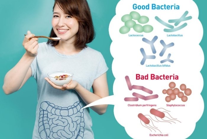 Benefits of Probiotics