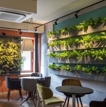 How To Make A Living Wall In Your Home