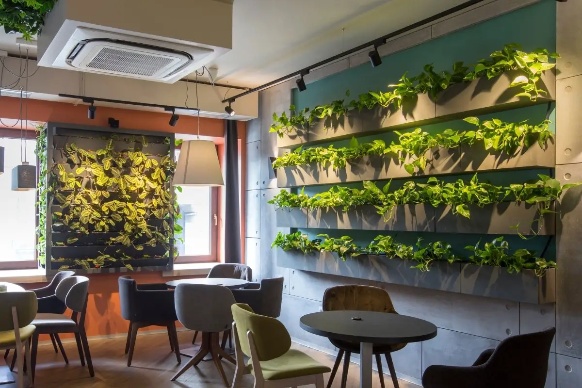 How To Make A Living Wall In Your Home