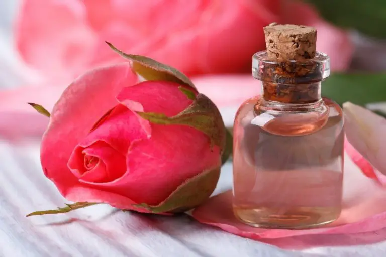 How To Make Rose Water Easily