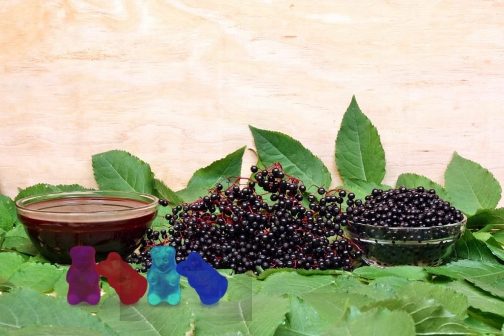 Special Homemade Elderberry Gummies Recipe Green Living Zone