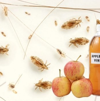 Using Apple Cider Vinegar for Parasite Removal