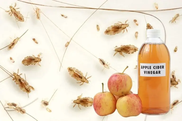 Using Apple Cider Vinegar for Parasite Removal