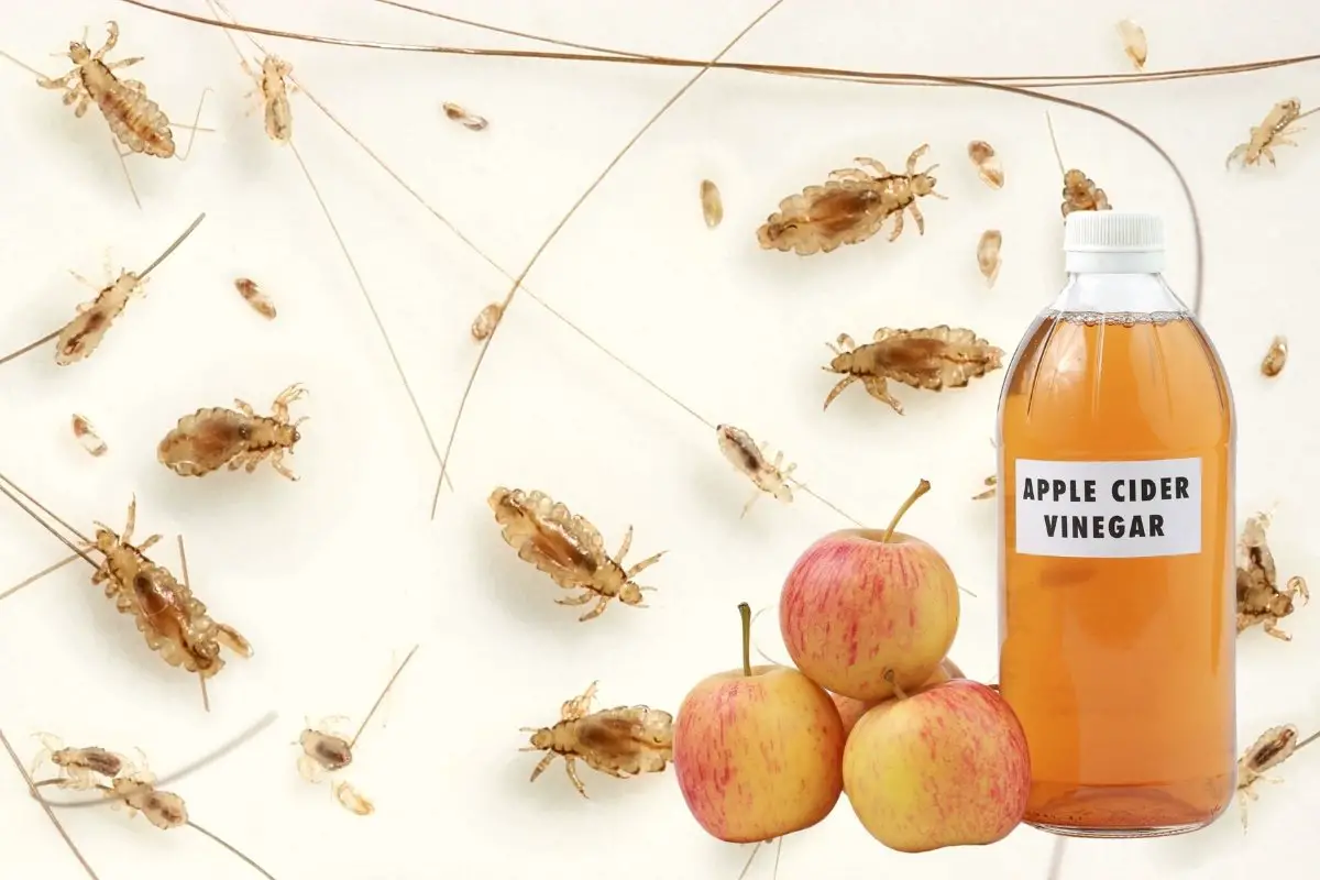 Using Apple Cider Vinegar for Parasite Removal