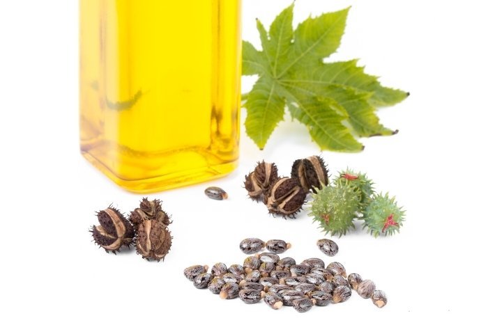 What is Castor Oil