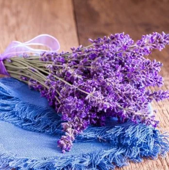 What To Do With Lavender Flowers