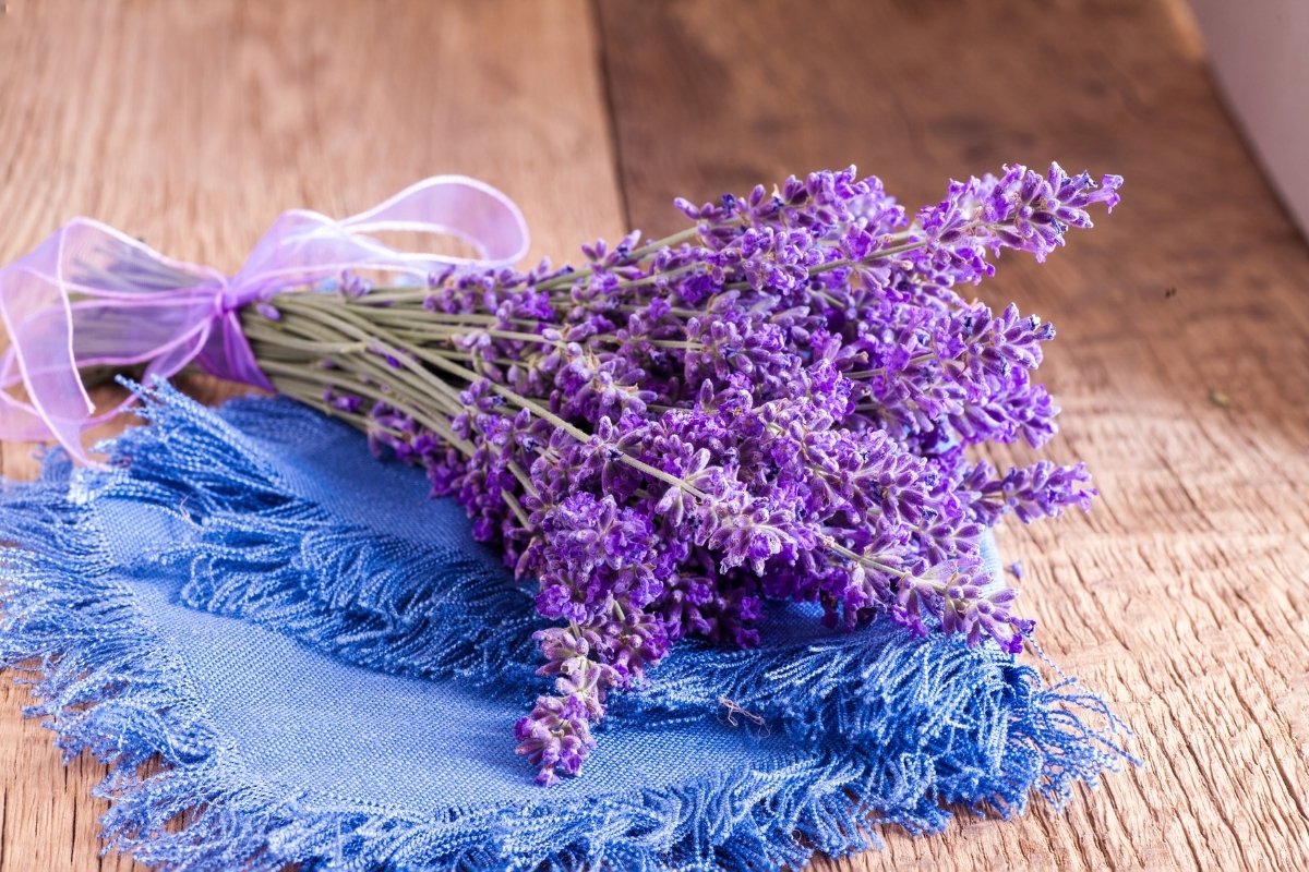 What To Do With Lavender Flowers