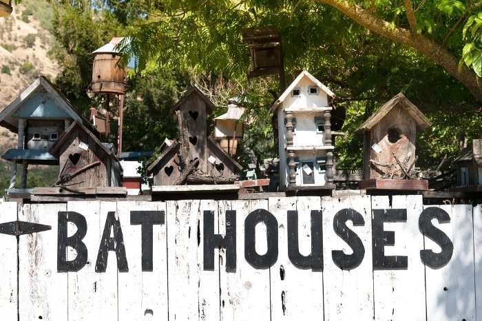 What Are Bat Houses