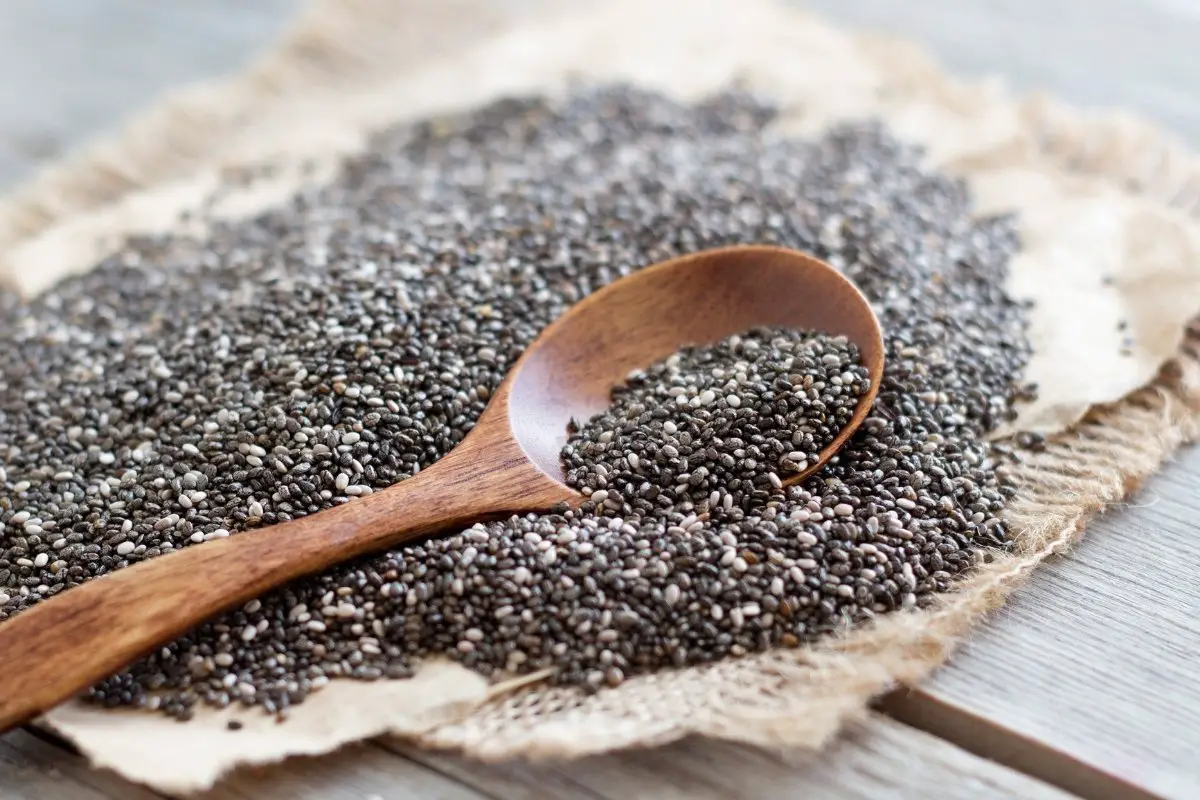Does Chia Seed Contain Phytic Acid
