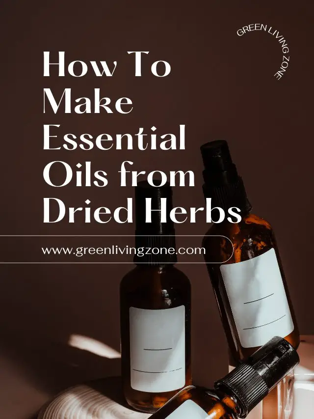 How to Make Essential Oils from Dried Herbs