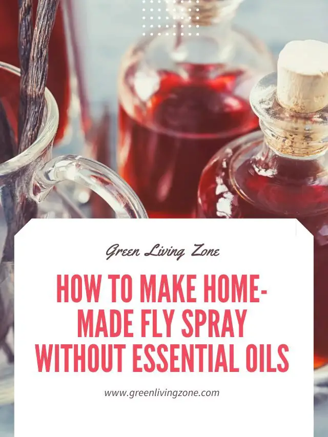 How To Make Home made Fly Spray Without Essential Oils Green Living Zone