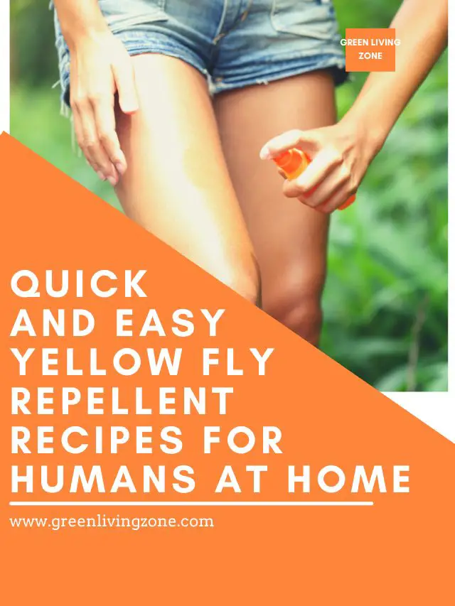 Quick and Easy Yellow Fly Repellent Recipes for Humans at Home