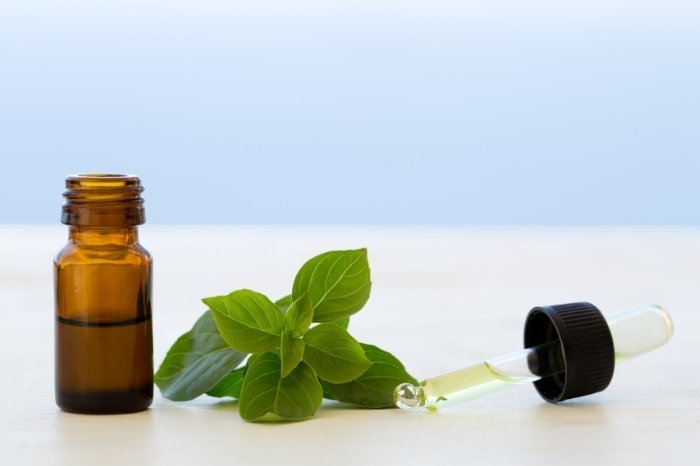 Basil Essential Oil for Swimmer's Ear