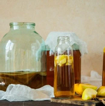 Kombucha Continuous Brew Container