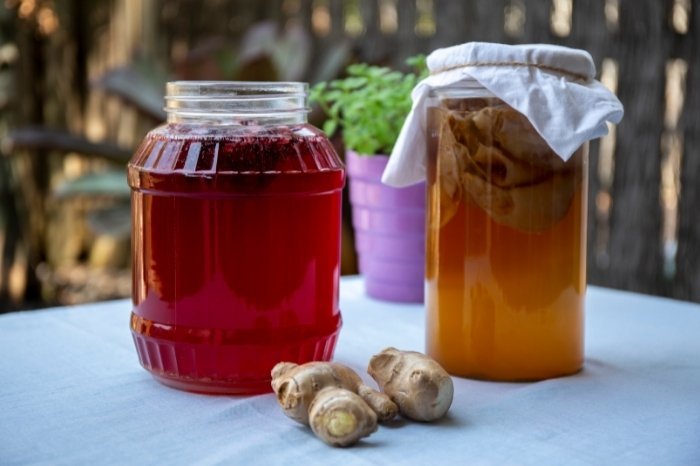 What Is Continuous Brew Kombucha