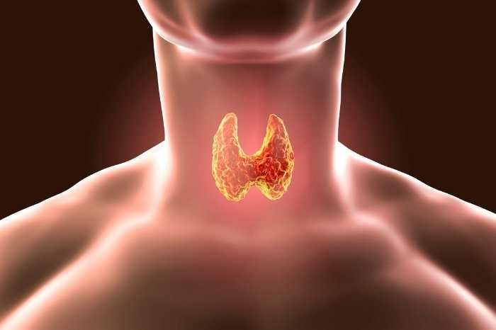 Causes Of Thyroid