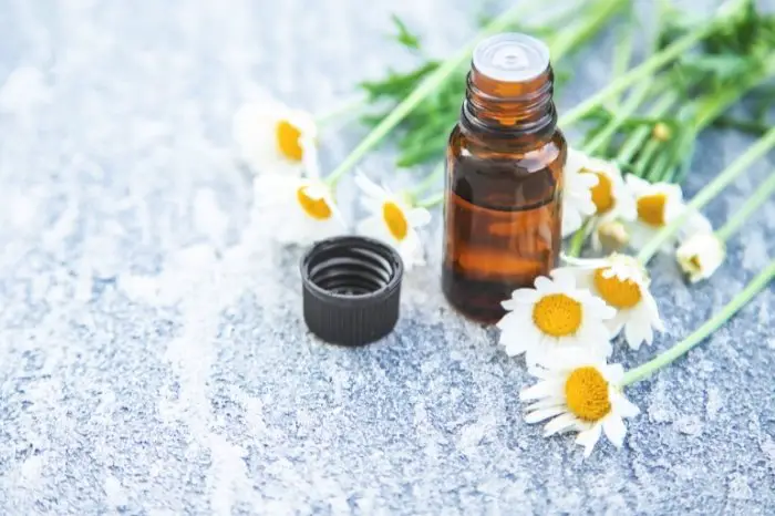 Chamomile Essential Oil for Fever