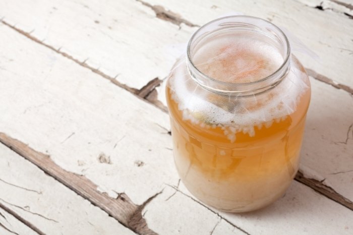 Where To Buy Coconut Water Kefir
