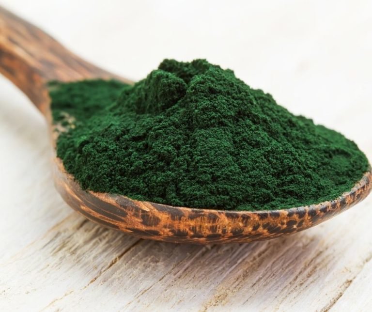 How To Store Spirulina Powder? Green Living Zone