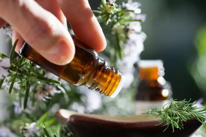 Is Rosemary Tincture Safe