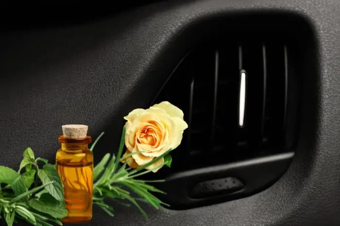 Why The Need For Essential Oils For Your Car