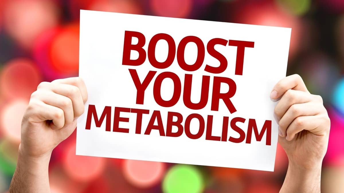 Pro Metabolic Diet - All You Need To Know