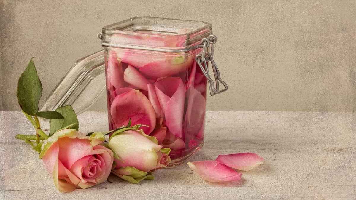 Rose Water For Cooking – Helpful Tips For That Smooth Application