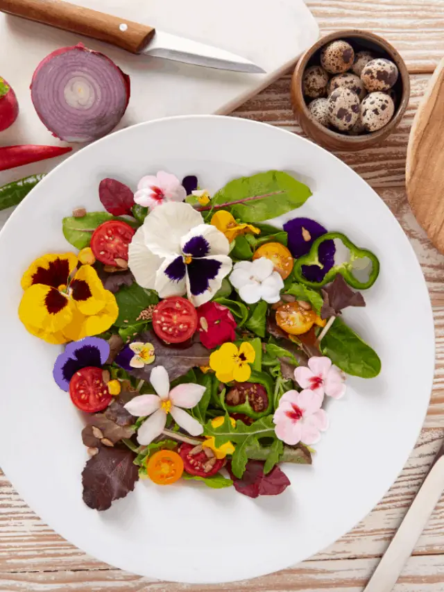 How to preserve edible flowers for your consumption