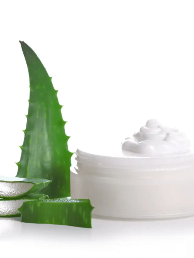 What Is The Best – Aloe Vera Gel Or Lotion?