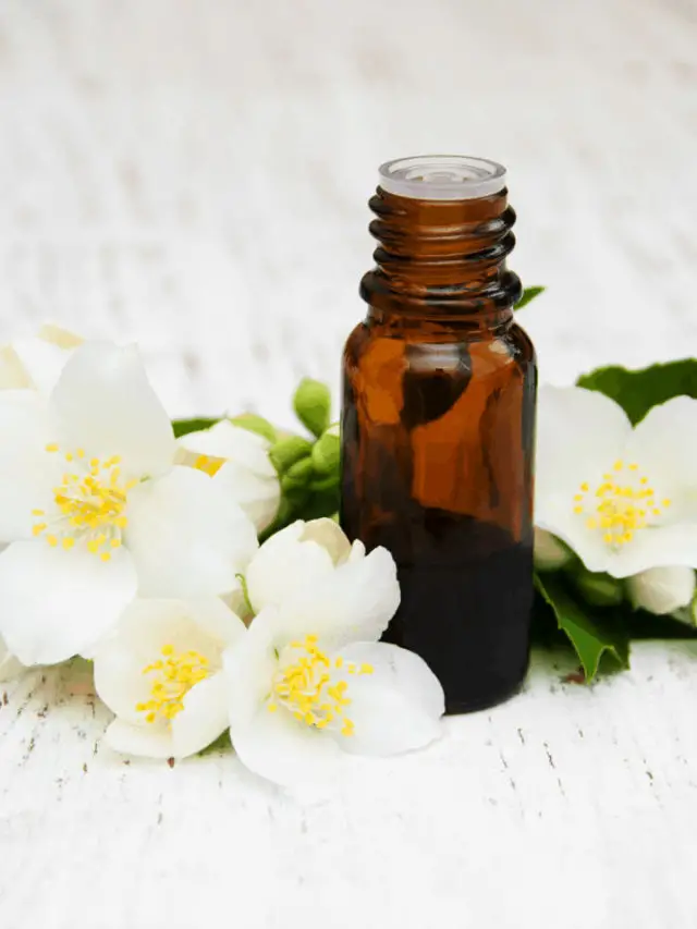Top Essential Oils On The Market For Skin Care