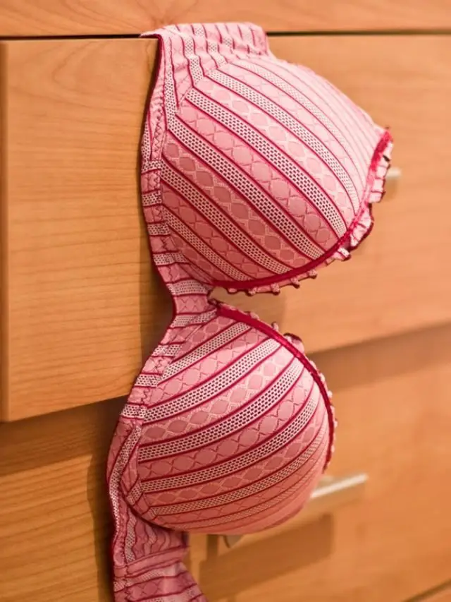 cropped-What-to-Do-with-Old-Bras.jpg