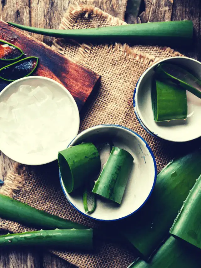 How To Preserve Aloe Vera Gel By Freezing It