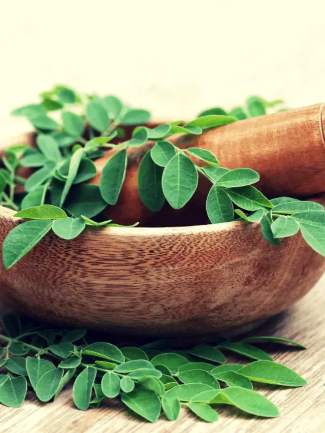 Why Moringa May Be A Superfood With Its Many Health Benefits