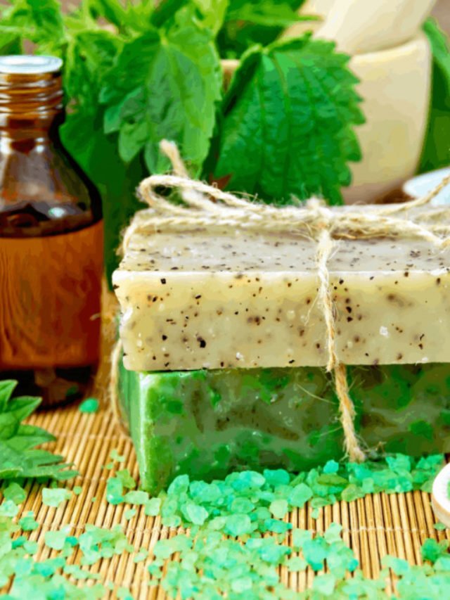 A Guide To Using Essential Oils To Make Homemade Soap Green Living Zone