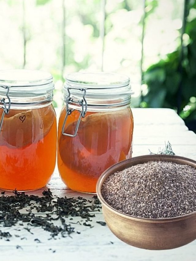 Is Kombucha with Chia Seeds Healthy? Green Living Zone