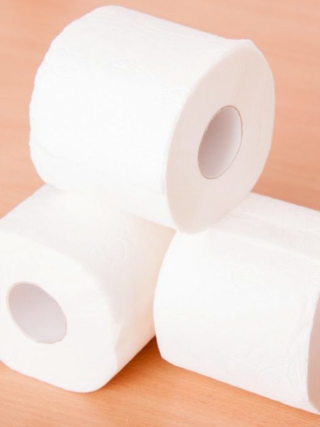 Where To Buy The Best Hypoallergenic Toilet Paper